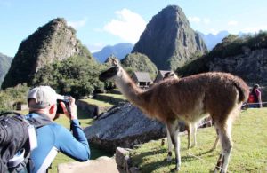 Machu-Picchu-Tim-photographing-llama
