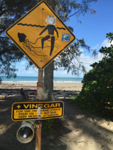 Port-Douglas-4-mile-beach-stinger-sign