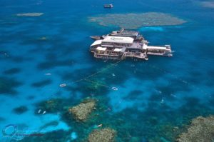 Quicksilver-outer-barrier-reef-pontoon-Agincourt-Reef-Great-Barrier-Reef