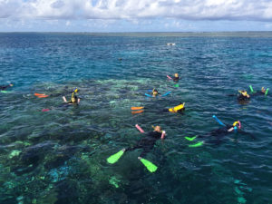 Great-Barrier-Reef-Agincourt-snorkeling