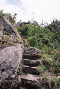 Huaynu-Picchu-hike-steps