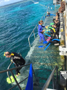 Great-Barrier-Reef-Agincourt-Quicksilver-snorkeling-platform