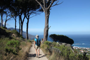Cape-Town-Table-Mountain-hike-path-with-trees