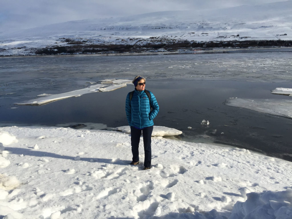 Iceland-Akureyri-fjord-janet