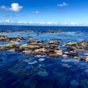 great-barrier-reef-low-tide-exposed-reef