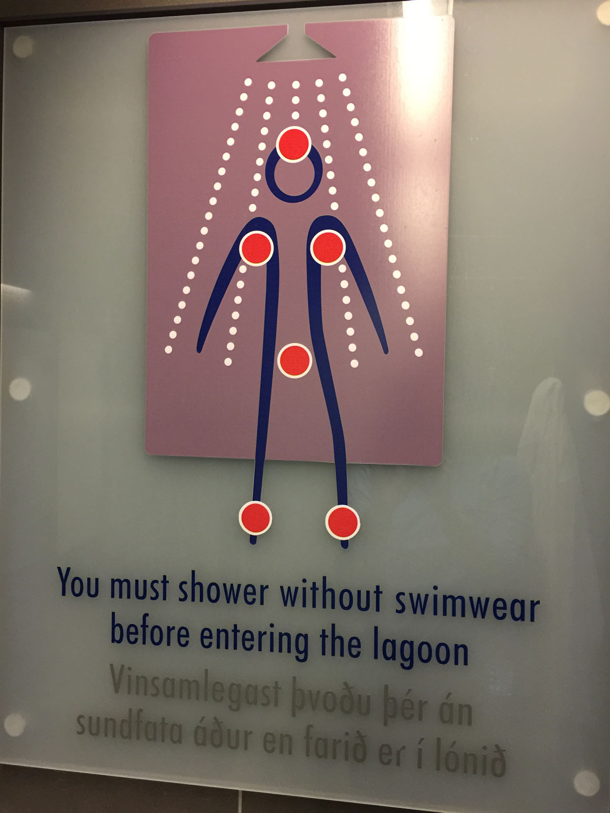 Visit Iceland's Blue Lagoon & Myvatn Nature Baths Travels