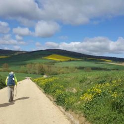 spain-camino-walk-beautiful-countryside