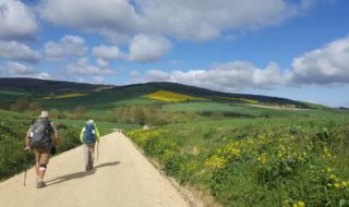 spain-camino-walk-beautiful-countryside