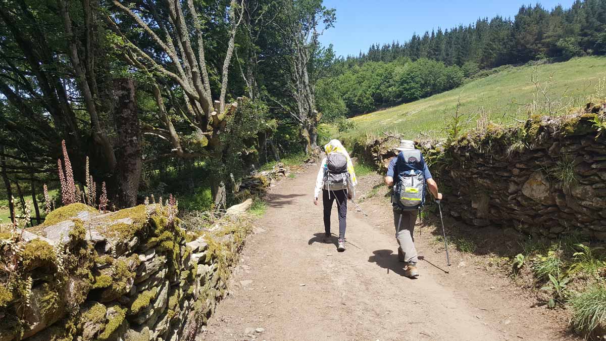 Walking Spain’s Famed Camino: My Upcoming Pilgrimage | Planet Janet Travels