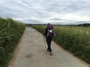 spain-camino-walk-path-through-fields