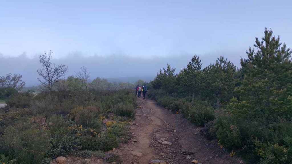 spain-camino-walk-dirt-path-foggy