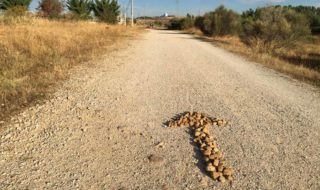 spain-camino-rock-arrow-on-road