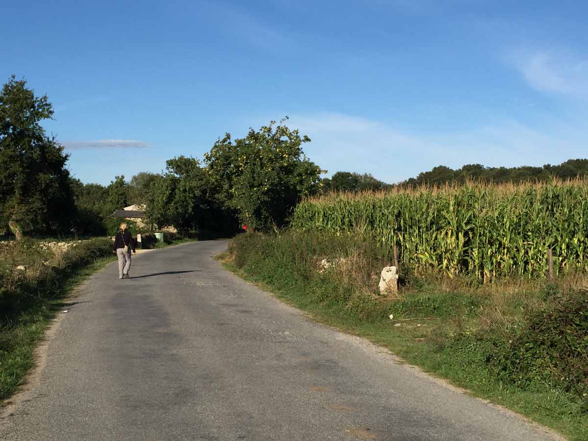 Spain's camino de santiago – tales from a successful pilgrim ...
