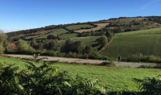 spain-camino-beautiful-green-hillside