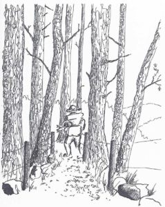 Camino-Voices-book-illustration-pilgrim-trees