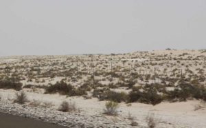 desert-view-drive-dubai-to-abu-dhabi