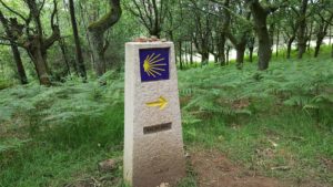 spain-camino-walk-sign-forest