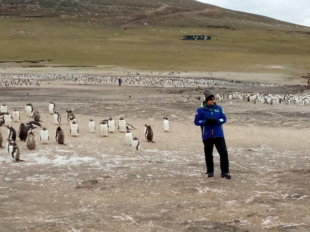 Falklands-Saunders-island-janet-with-penguins