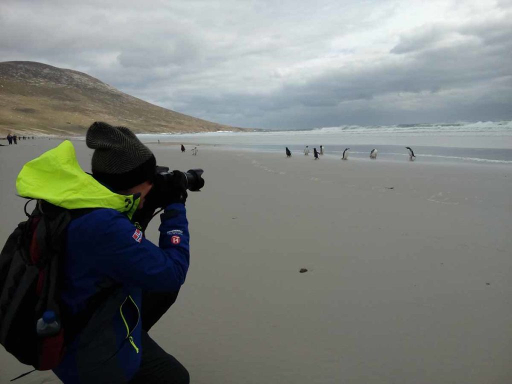 Falkland-islands-Saunders-island-penguins-beach