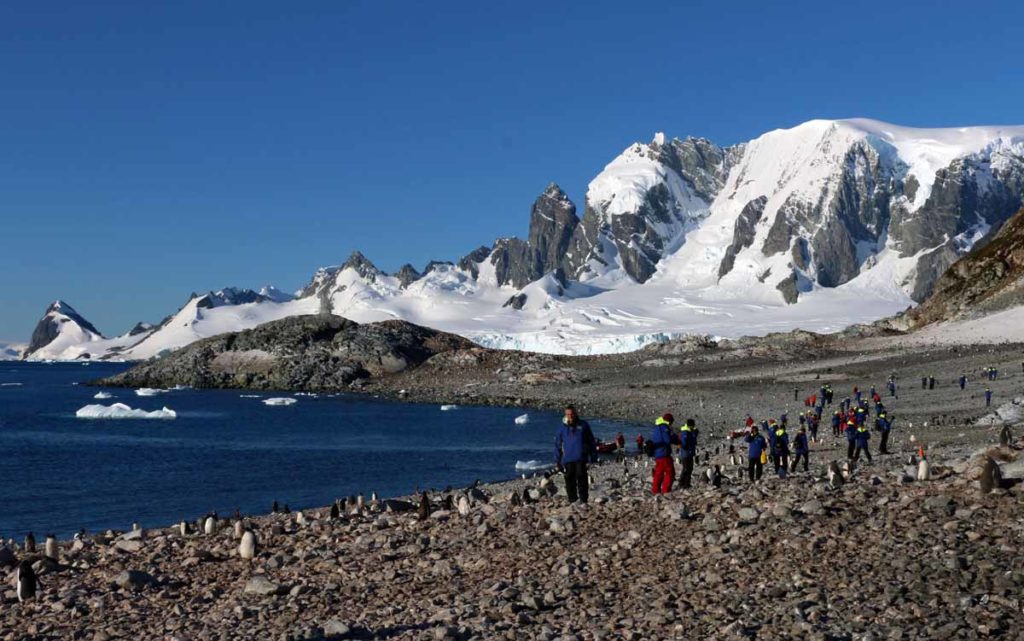 Antarctica-Cuverville-island-expedition-visitors