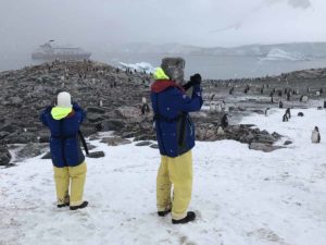 Antarctica-expedition-landing-damoy-point-penguins
