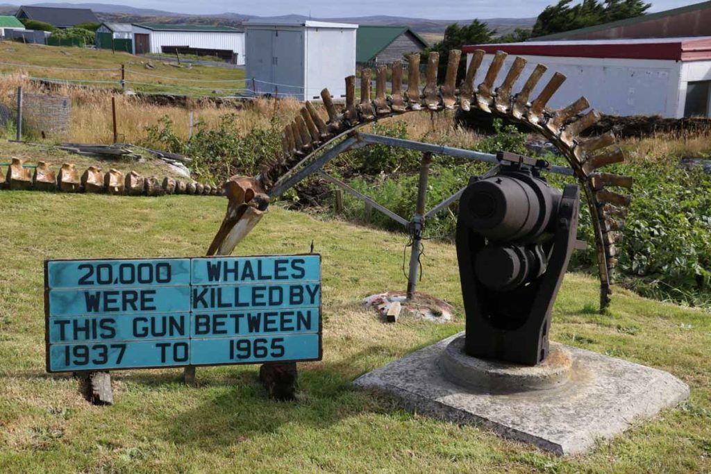falkland-islands-stanley-whaling-gun