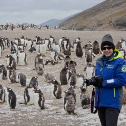 falklands-saunders-island-janet-penguins