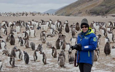 falklands-saunders-island-janet-penguins
