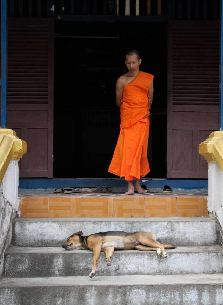 Laos-Luang-Prabang-monk-with-dog