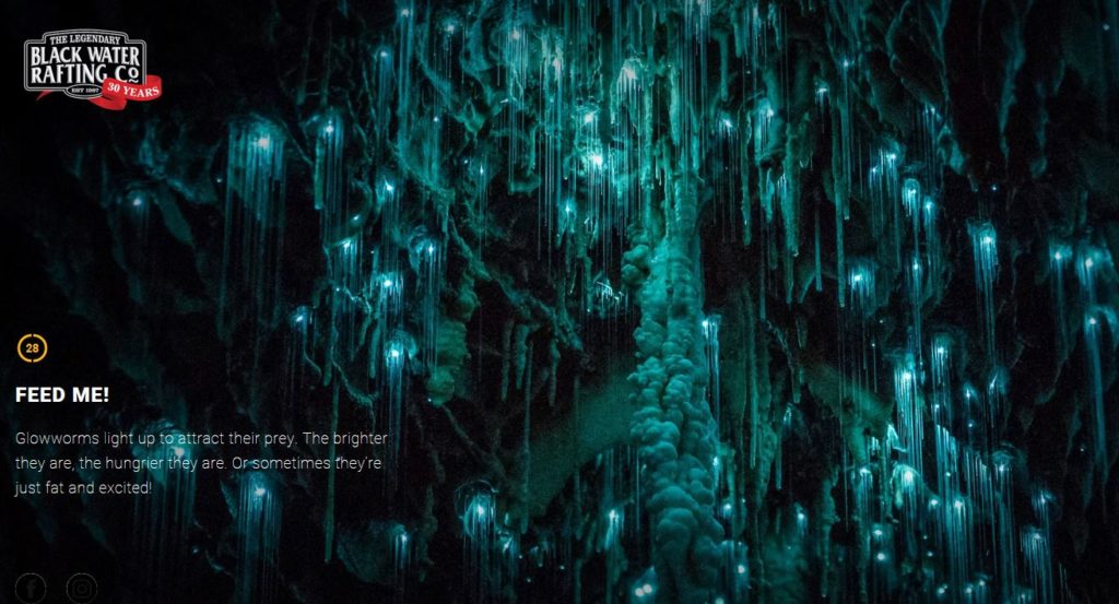New-Zealand-waitomo-caves-black-water-rafting-glowworms-lights