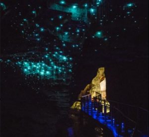 Waitomo-Ruakuri-glowworm-cave