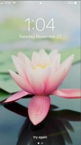 iPhone-screen-lotus