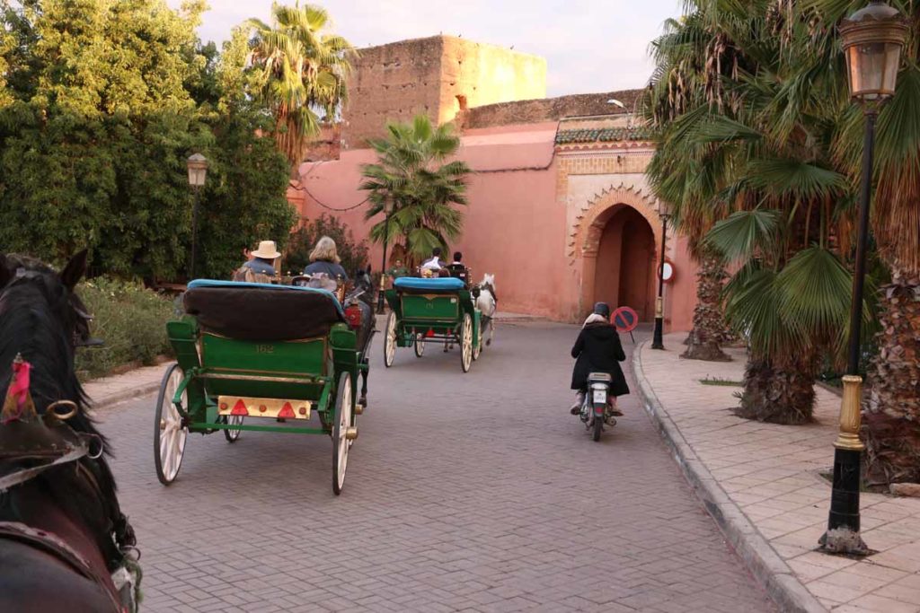 Morocco-Marrakesh-carriage-ride