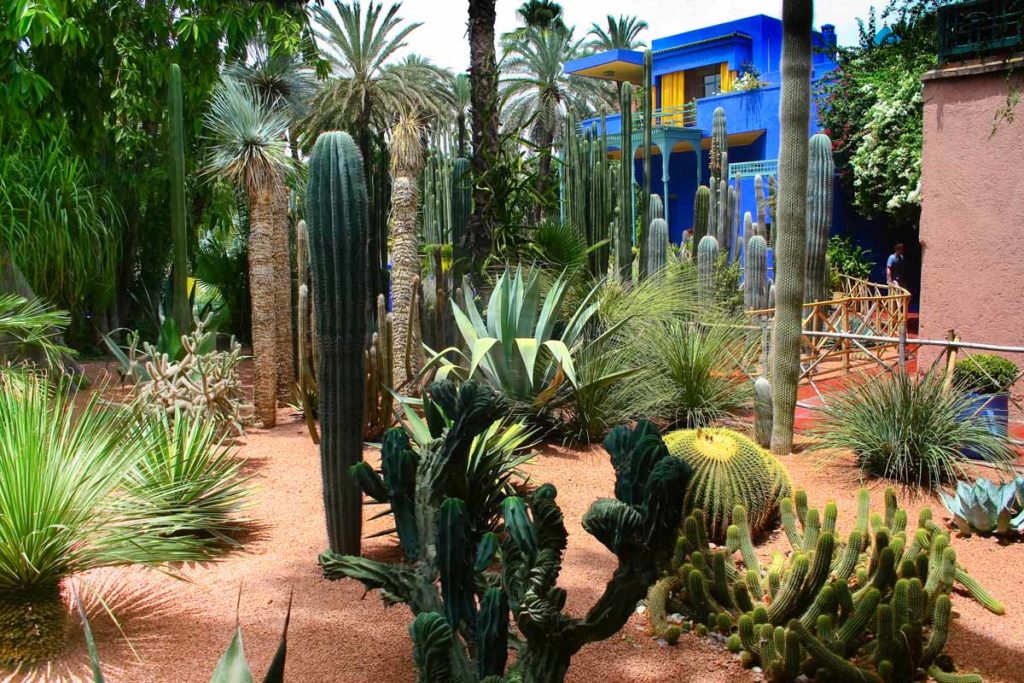 Morocco-Marrakesh-majorelle-garden