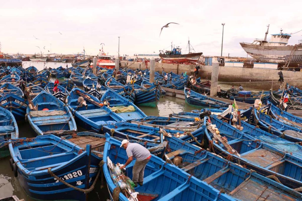 Morocco-Essaouira-fishing-port