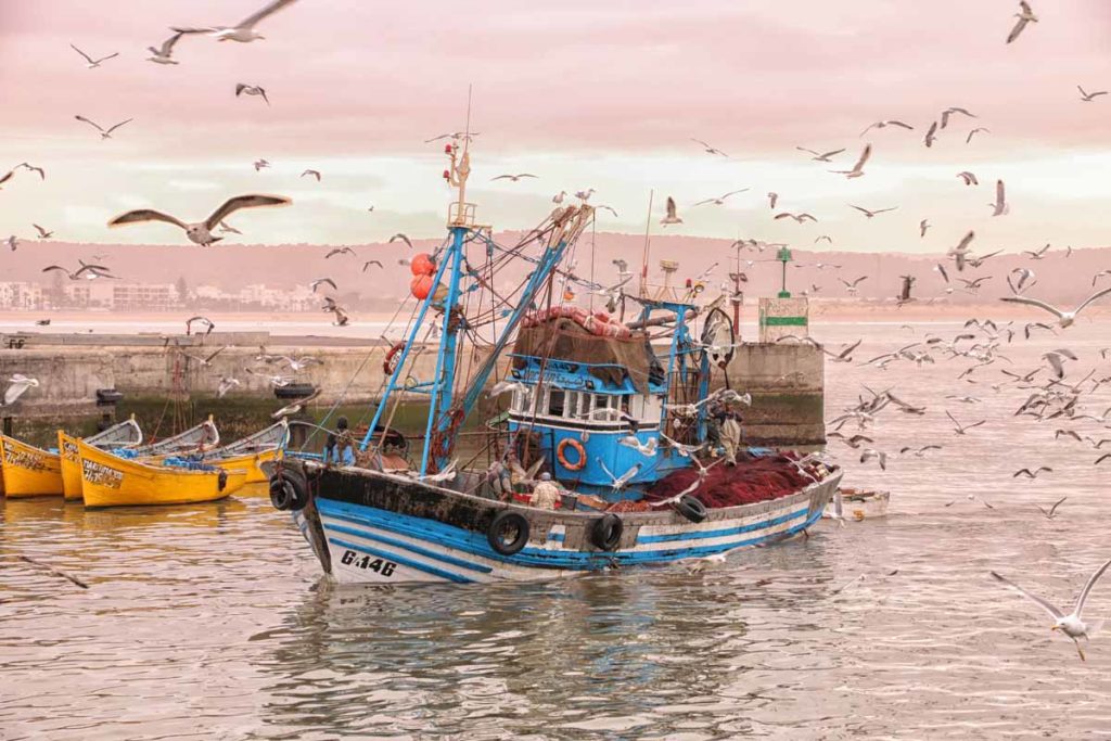Morocco-Essaouira-fishing-port-sardine-trawler