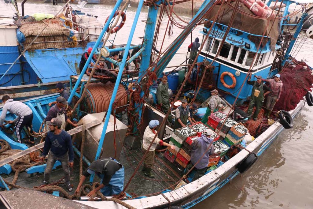 Morocco-Essaouira-port-sardine-trawler