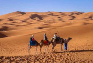 Morocco-sahara-desert-camel-ride