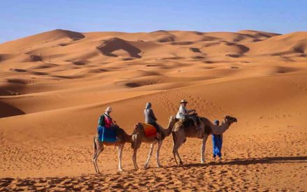 Morocco-sahara-desert-camel-ride