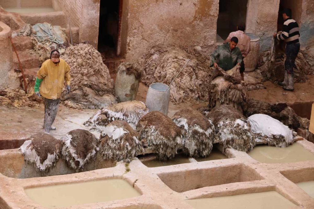 Morocco-Fez-Chouara-Leather-Tannery