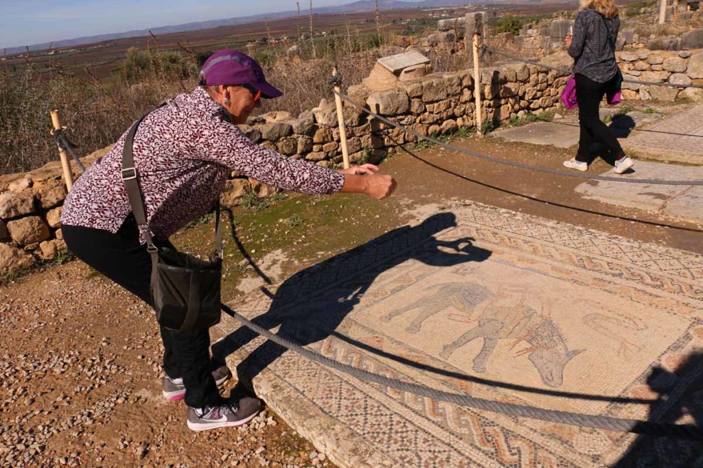 Morocco-Volubilis-mosaics