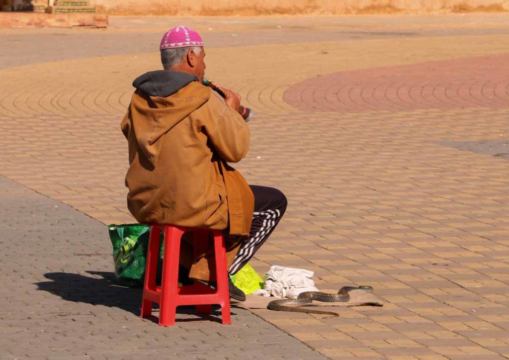 Morocco-Meknes-snake-charmer