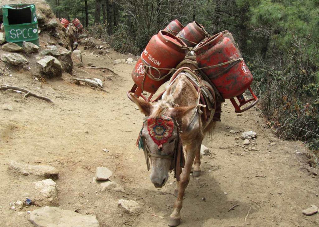 Nepal-trek-trail-mule-propane-tanks