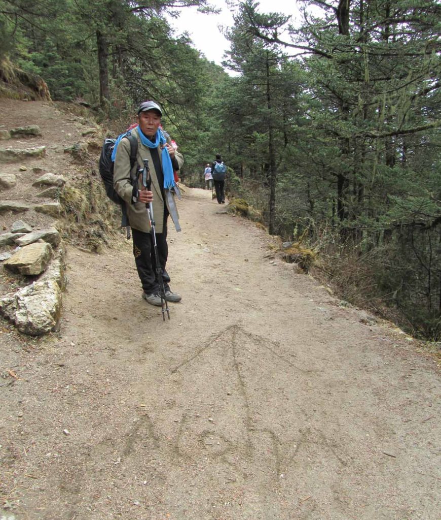 Nepal-trek-trail-near-namche-forests