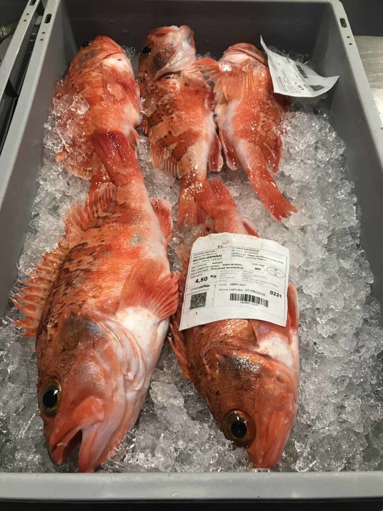 Spain-Finisterre-red-fish