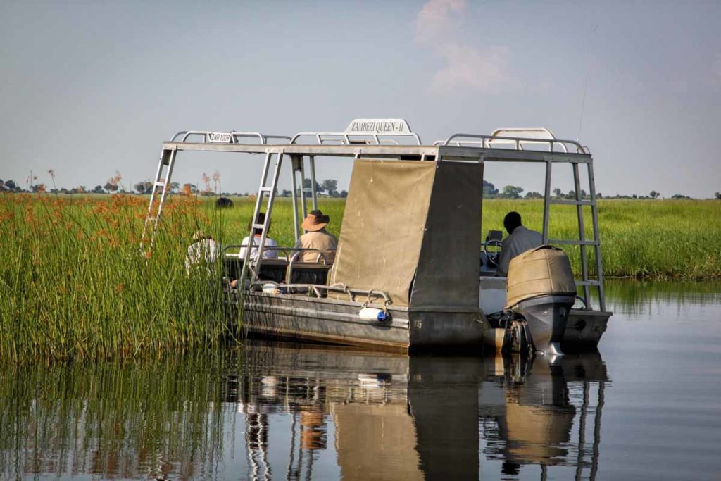 Zambezi-Queen-tender-excursion-river-grasses