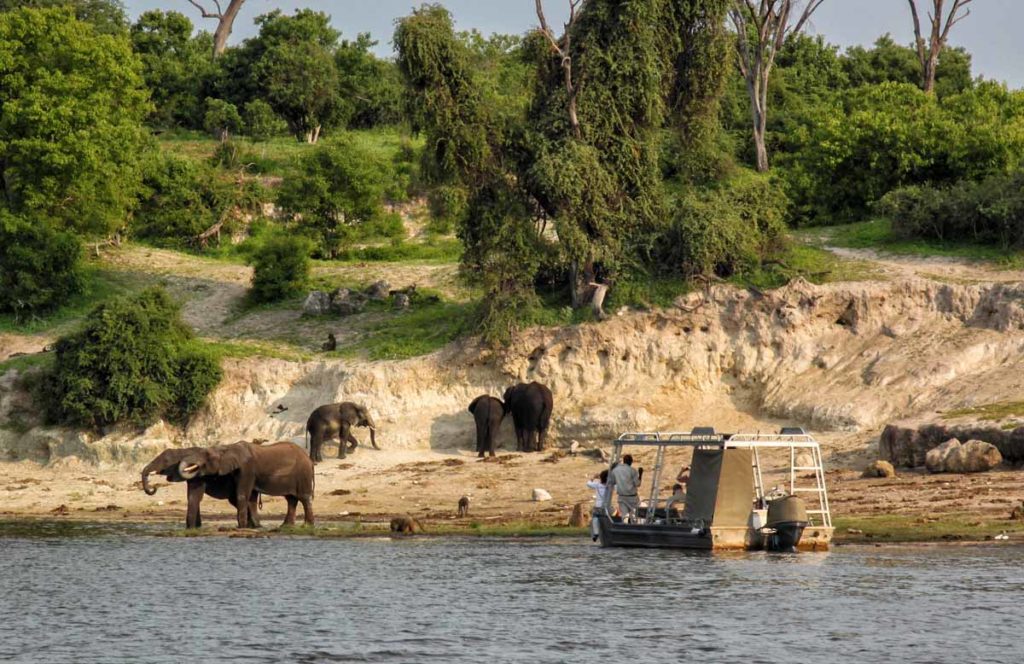 Zambezi-Queen-tender-boat-at-shore-elephants