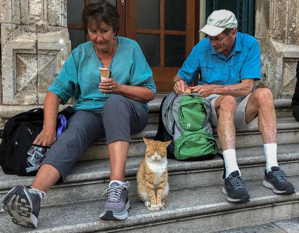 croatia-dubrovnik-friendly-local-cat