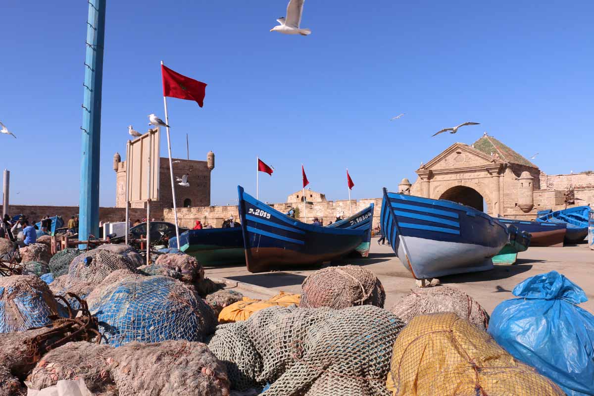https://www.planetjanettravels.com/wp-content/uploads/2020/06/1_Morocco-Essaouira-fishing-port.jpg?utm_source=chatgpt.com