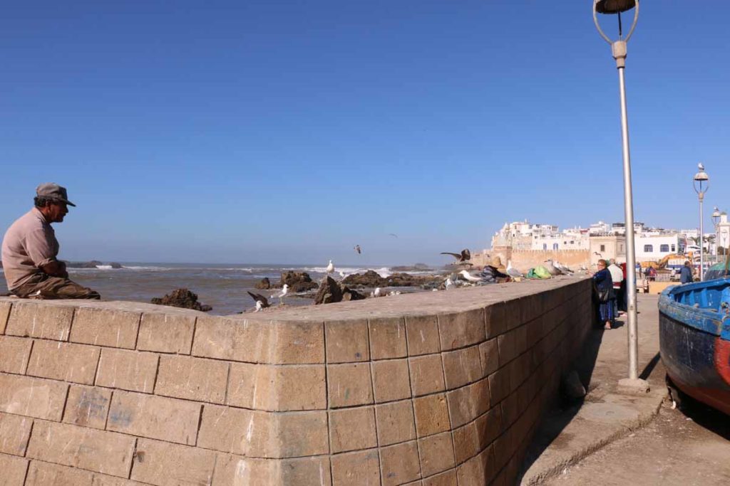 Morocco-Essaouira-view-old-town